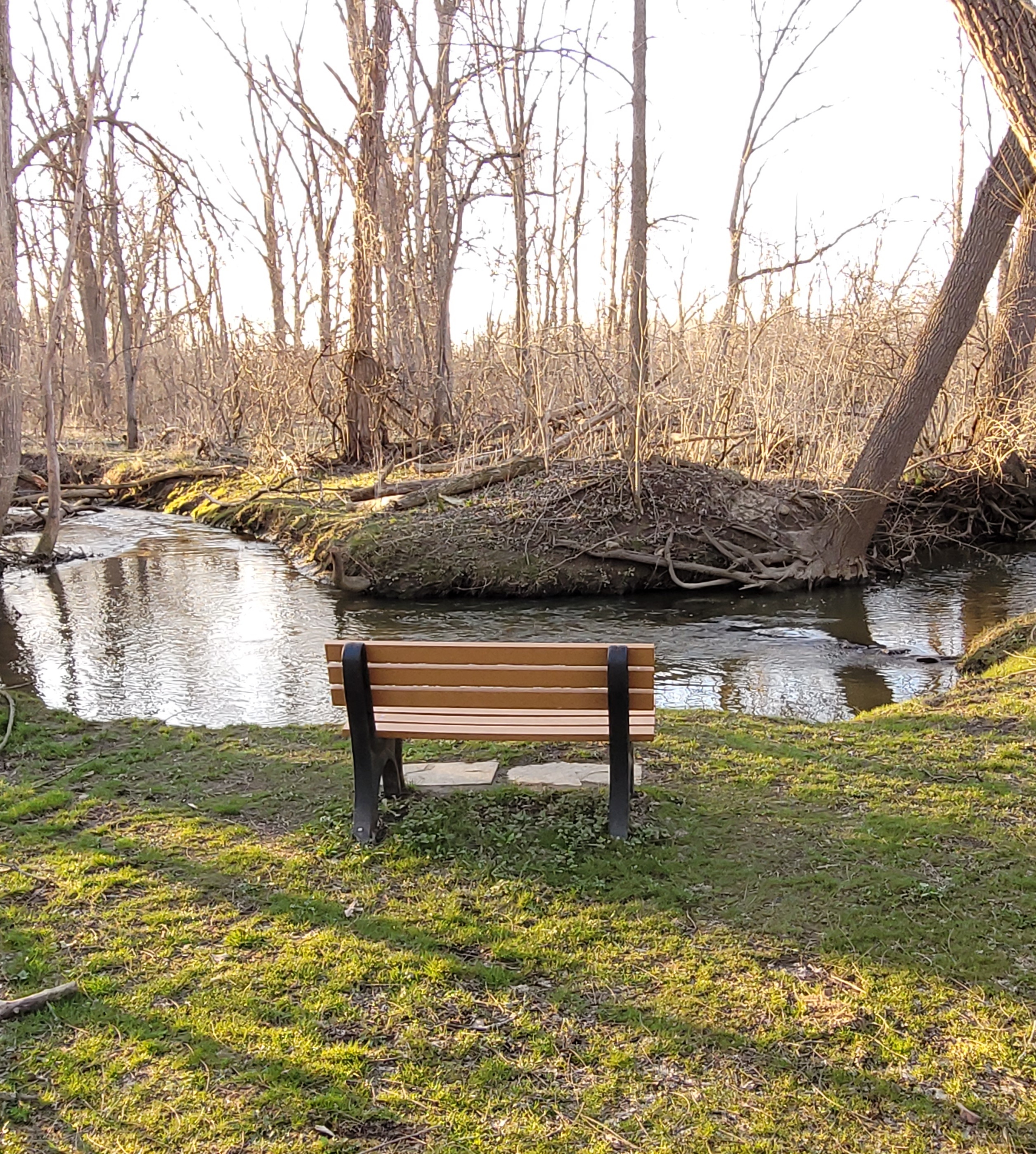 Memorial Bench for Luke Lang
